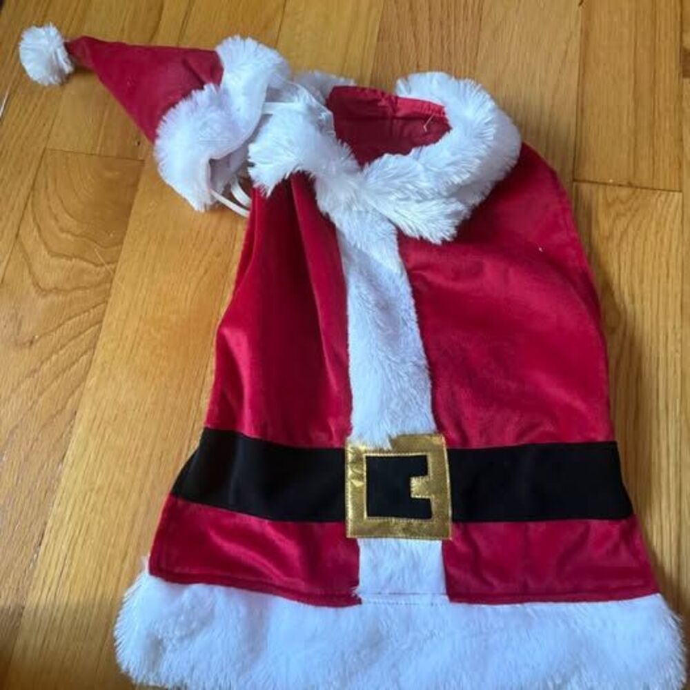 Merry Makings by Petco Pet Santa Suit
